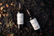 Bodega Trapiche arma su selección ideal de vinos para acompañar el Mundial 2026