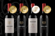 Un vino mendocino logró 97 puntos en Decanter y quedó entre los mejores de Argentina