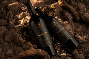 Dos Malbec de Huentala nacidos a cada lado de un río fueron distinguidos por Tim Atkin