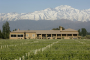Invierno en Bodega Vistalba, una experiencia de vinos y gastronomía frente a la Cordillera