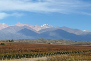 Vacaciones de invierno en Bodega Doña Paula con una experiencia para disfrutar en familia