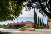 Terrazas de los Andes presenta su agenda de invierno con vino, gastronomía y experiencias en Mendoza