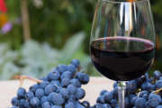 El Malbec mejor premiado de Luján de Cuyo obtuvo 97 puntos y una medalla Platinum