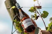 Trapiche Costa & Pampa celebra el Día del Albariño con un vino premiado internacionalmente