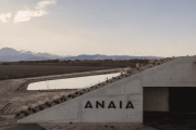 Día del Vino Blanco: Anaia apuesta a una categoría que gana protagonismo con etiquetas de alta gama
