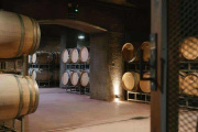 UNO Pinot Noir, el vino de Antigal que combina uvas de Altamira y San Pablo
