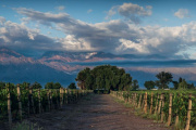 Pelleriti-Priore presenta en Mendoza sus vinos de alta gama del Valle de Uco