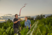 El vino mendocino en la cima: un Malbec de El Enemigo obtuvo 100 puntos Parker