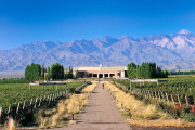 Entre bodegas y montañas, Mendoza seduce al turismo corporativo