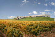 Bodega Malma apuesta por la sustentabilidad para elaborar vinos con identidad patagónica