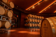 Un Malbec de Mendoza fue elegido el mejor vino tinto del mundo en Londres