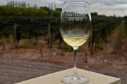 Antigal Winery presenta dos noches temáticas dedicadas a Soda Stereo en septiembre