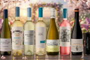 Ocho vinos argentinos frescos para disfrutar esta primavera
