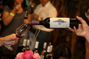 Dionisias Vino en Primavera: cuándo es la feria de vinos, sabores y diseño en el Museo Fader