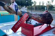 Joselito desembarcó en Mendoza de la mano de Renato 1986