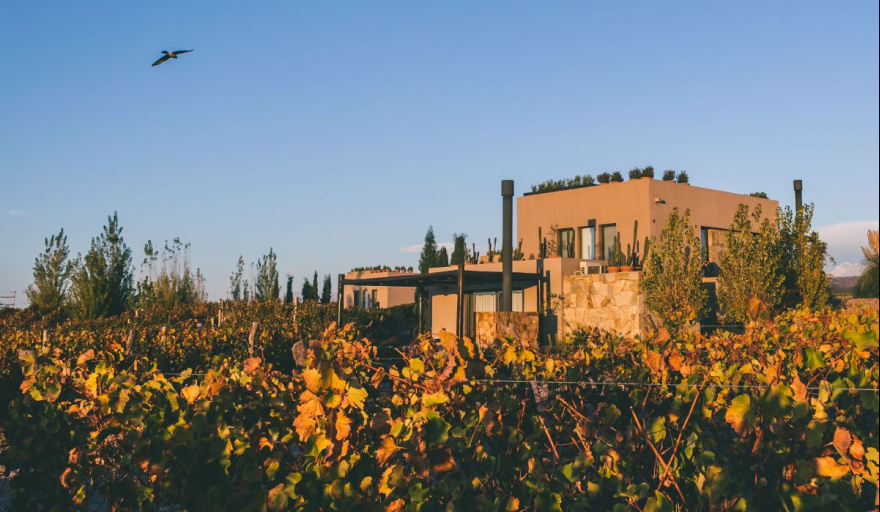 Rosell Boher Lodge Presenta su Primer Pop Up Internacional 2025