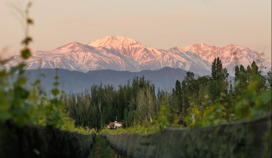 Finca Bandini lanza dos nuevos Cabernet de alta gama desde Las Compuertas