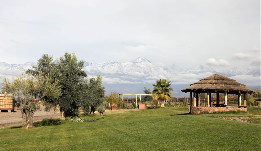 Experiencia Gaia: cocina de autor, vinos orgánicos y turismo sustentable en Domaine Bousquet