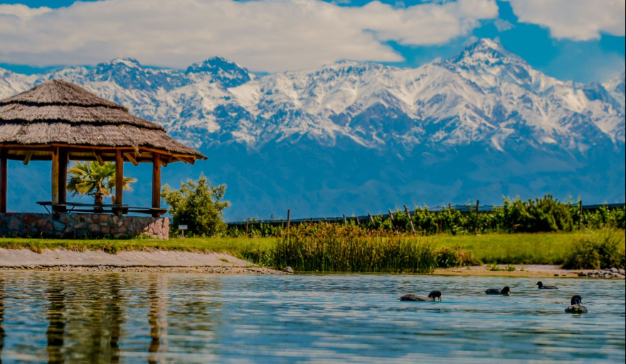 Experiencia Gaia: Domaine Bousquet lanza su propuesta de verano 2026 con vino orgánico, gastronomía y naturaleza en Gualtallary