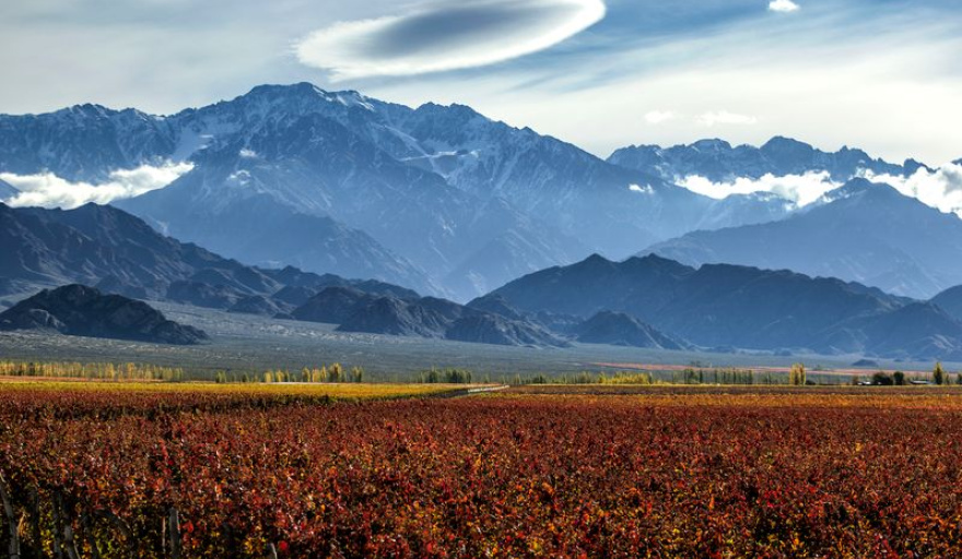 Malbec World Day 2026 celebra el vino argentino con eventos globales y experiencias únicas